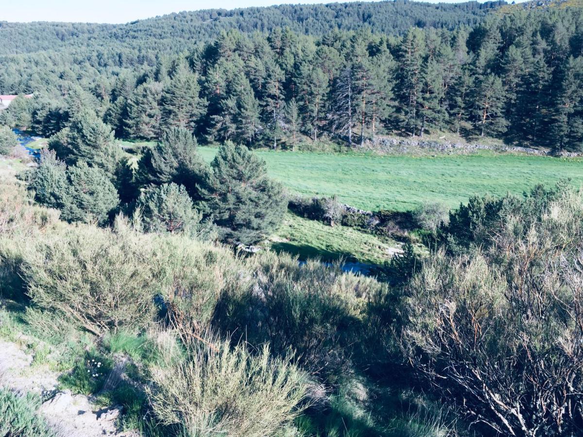 Penzion Artesano I Y III Navarredonda de Gredos Exteriér fotografie
